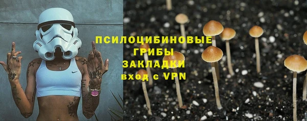 дурь Осинники